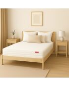 Matelas HIVORY 15cm mousse PU Haute Résilience blanc - 160x200cm