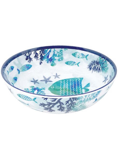 Piatto profondo blu caraibico e bianco - 20 cm x 6 cm