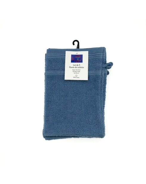 Set di 5 salviette blu - 15x21 cm