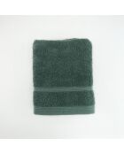 Asciugamano grigio verde - 50x90 cm