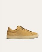 Sneakers Hugo aus dunkelbeigem Veloursleder