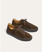 Baskets Rhodes en daim marron