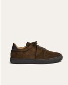 Sneakers Jude in suede marrone
