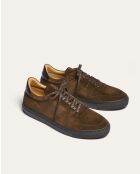 Sneakers Jude in suede marrone