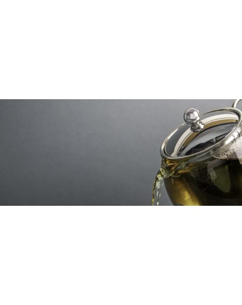 Théière filtre 4 tasses en verre Izmir inoxydable argentée - 1L