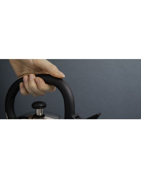 Bollitore LC con fischietto 1,6 L in acciaio inossidabile argentato - 1,6 L