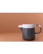 Teiera LC Barcelona da 2 tazze grigio freddo - 400 ml