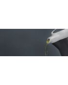 Teiera LC Barcelona da 2 tazze grigio freddo - 400 ml