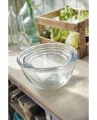 Set di 3 insalatiere trasparenti 12, 18 e Cocoon - 24 cm