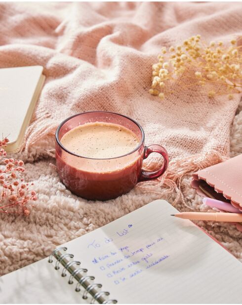 6 bicchieri Jumbo Alba in terracotta - 50 cl