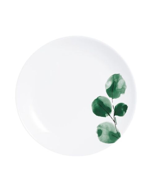 6 piatti da dessert in eucalipto bianco - 19 cm