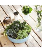 Saladier Diwali bleu - 22cm