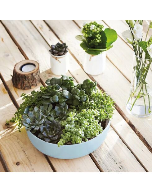 Saladier Diwali bleu - 22cm