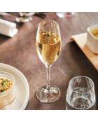 6 calici da champagne Sequence trasparenti — 24 cl