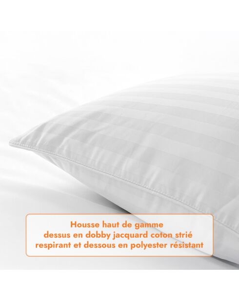 Oreiller Plumes blanc (ORP03) - 40x70 cm