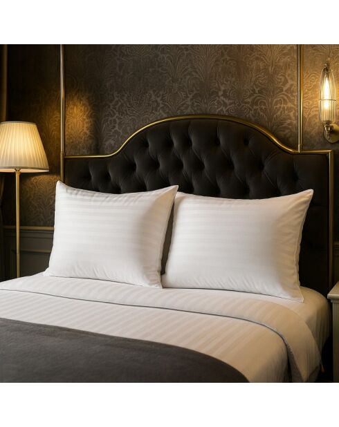 Oreiller Plumes blanc (ORP03) - 40x70 cm