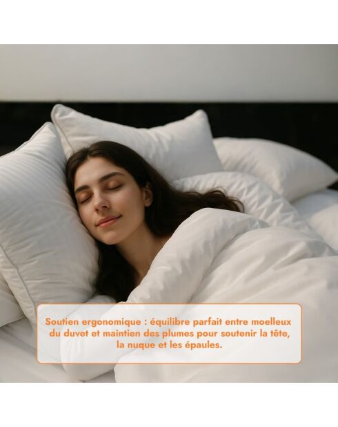 Oreiller Plumes blanc (ORP03) - 40x70 cm