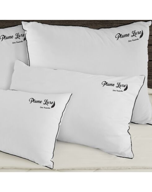Oreiller Plume luxe blanc (OR53) - 40x70 cm