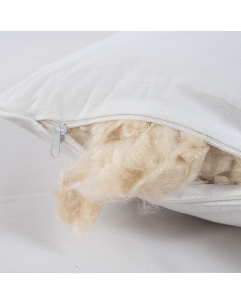 Kapok kussen wit - 60x60 cm