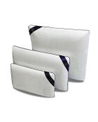 Oreiller bandeau bleu OR127 (Mousse Perforée) - 70x40 cm