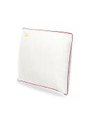 Oreiller Plumes blanc (OR39) - 60x60 cm