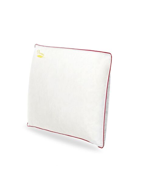 Weißes Federkissen (OR39) - 60x60 cm