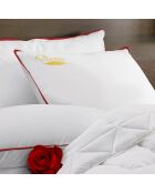 Oreiller Plumes blanc (OR39) - 60x60 cm