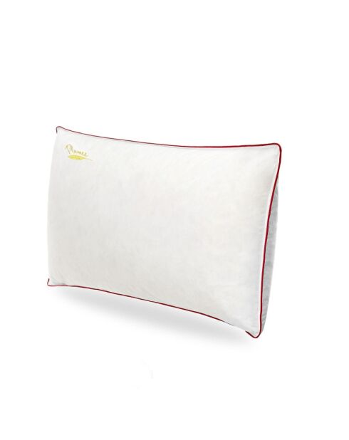 Oreiller Plumes blanc (OR38) - 40x70 cm