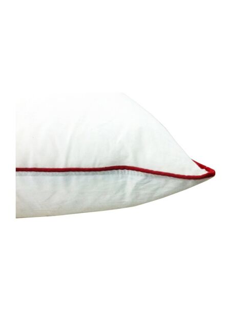 Oreiller Plumes blanc (OR38) - 40x70 cm