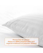 Oreiller Plume blanc (ORP03) - 50x30cm