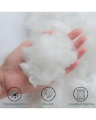 Edredón blanco frío - 200x200 cm