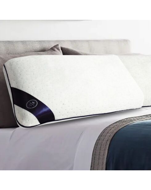 Oreiller bandeau bleu OR128 (Mousse Perforée) - 50x30 cm