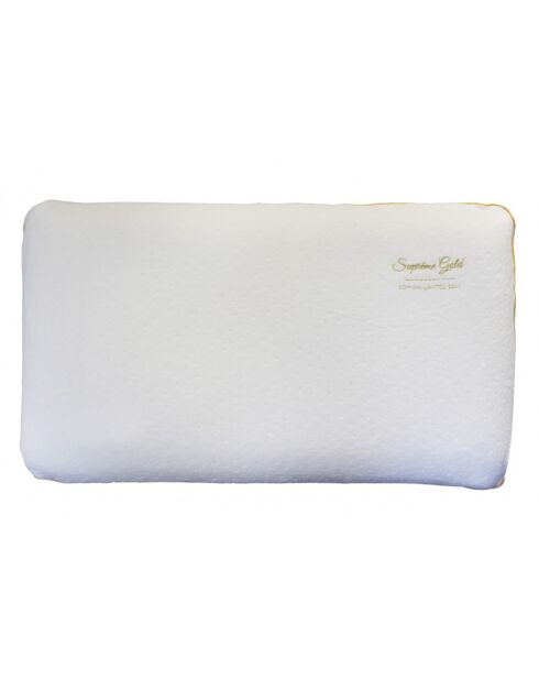 Oreiller Collector OR22 blanc - 60x60 cm