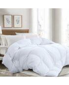 Dekbed van 100% wit veren (COU24) - 240x260 cm
