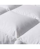 Dekbed van 100% licht wit veren - 220x240 cm