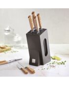 Set mit 2 hellbraunen Steakmessern -12,5 cm