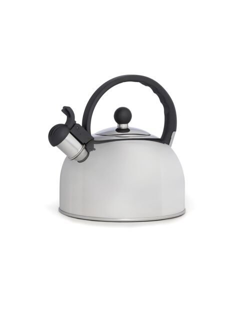 Bollitore in acciaio inossidabile argentato - 3l