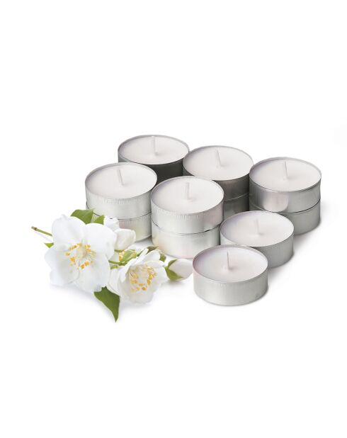 Confezione da 12 lumini profumati all'ylang e gelsomino, durata di combustione 3 ore, 120 g