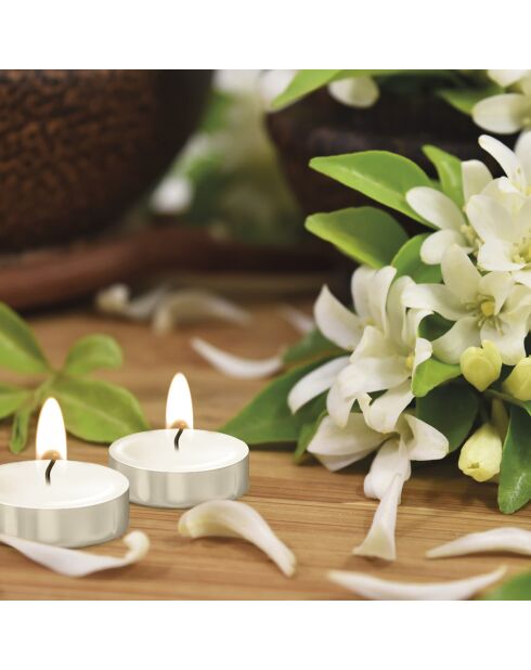 Confezione da 12 lumini profumati all'ylang e gelsomino, durata di combustione 3 ore, 120 g