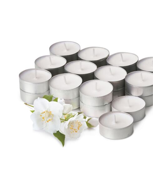 Confezione da 24 lumini profumati all'ylang e gelsomino, durata di combustione 3 ore, 240 g