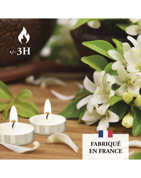 Paquete de 24 velas aromáticas de ylang y jazmín, tiempo de combustión de 3 horas, 240 g