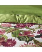 Drap plat satin de coton Garden Micro vert