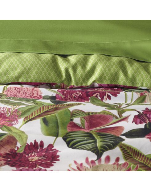 Drap plat satin de coton Garden Micro vert