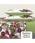 Ensemble de draps satin de coton Garden Vert - 240 x 300 cm