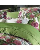 2 Gartengrüne Kissenbezüge aus Baumwollsatin, 63 x 63 cm