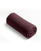 Drap-housse satin de coton Areca prune