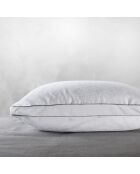 Oreiller carré coeur mémoire de forme + protège oreiller - 60x60 cm