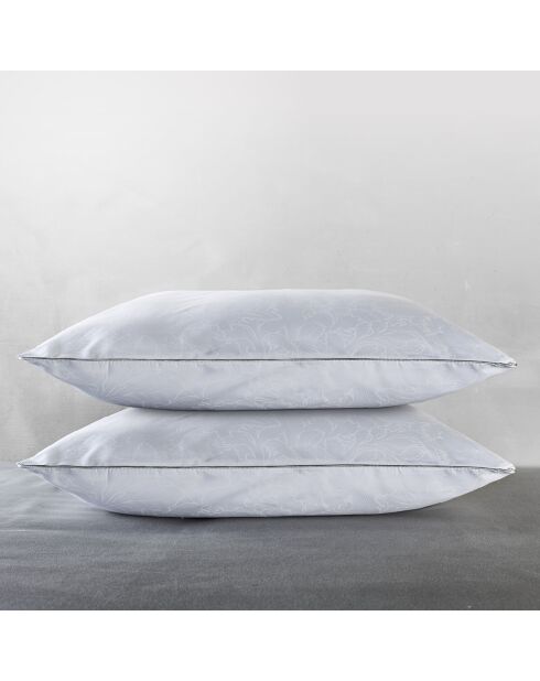 Oreiller Arabesque carré + protège oreiller - 65x65 cm