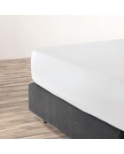 Drap-housse satin de coton uni blanc