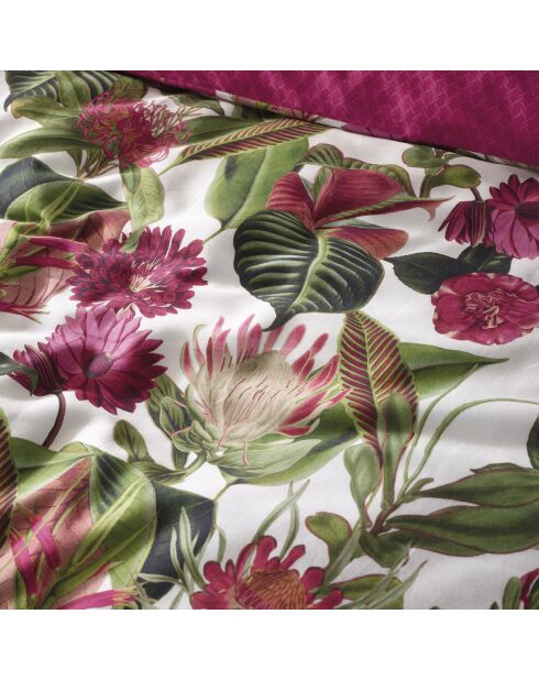 Sábana bajera ajustable de satén de algodón fucsia Garden Micro